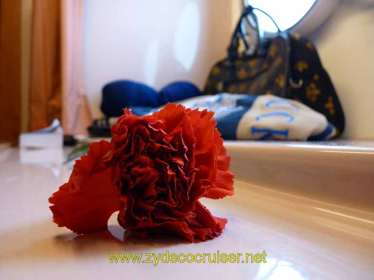 212: Carnival Sensation, Freeport, Bahamas, Carnations were given to women on Valentine's Day
