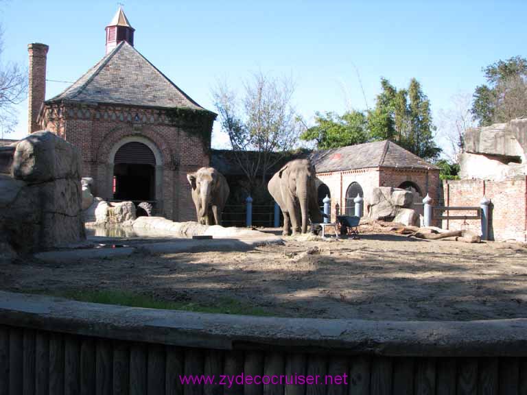 027: Audubon Zoo, New Orleans, Louisiana, Elephants