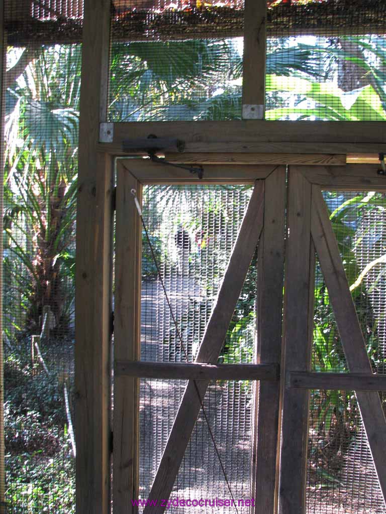 038: Audubon Zoo, New Orleans, Louisiana, 
