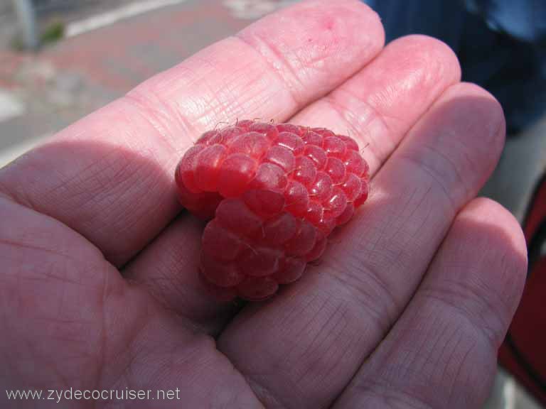 Fresh raspberry from local market, Helsinki