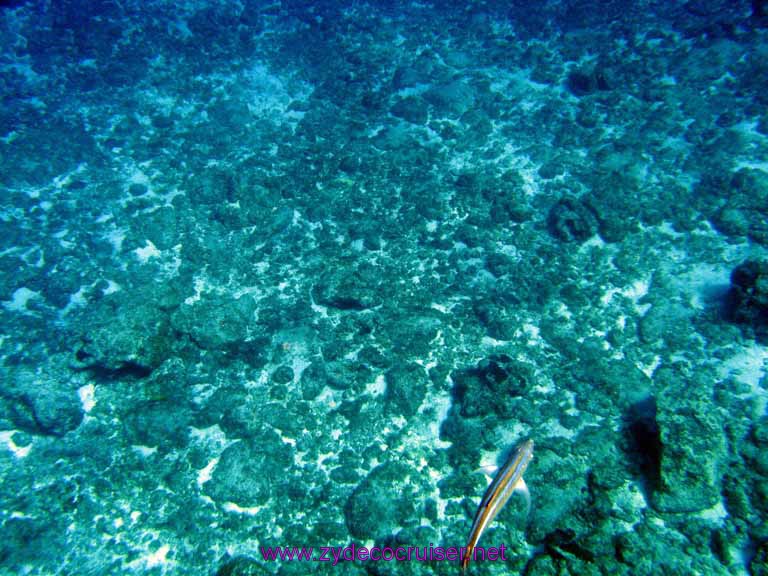 037: Carnival Fantasy, Cozumel, John Heald Bloggers Cruise 2, Deluxe Sail, Snorkel and Beach Party