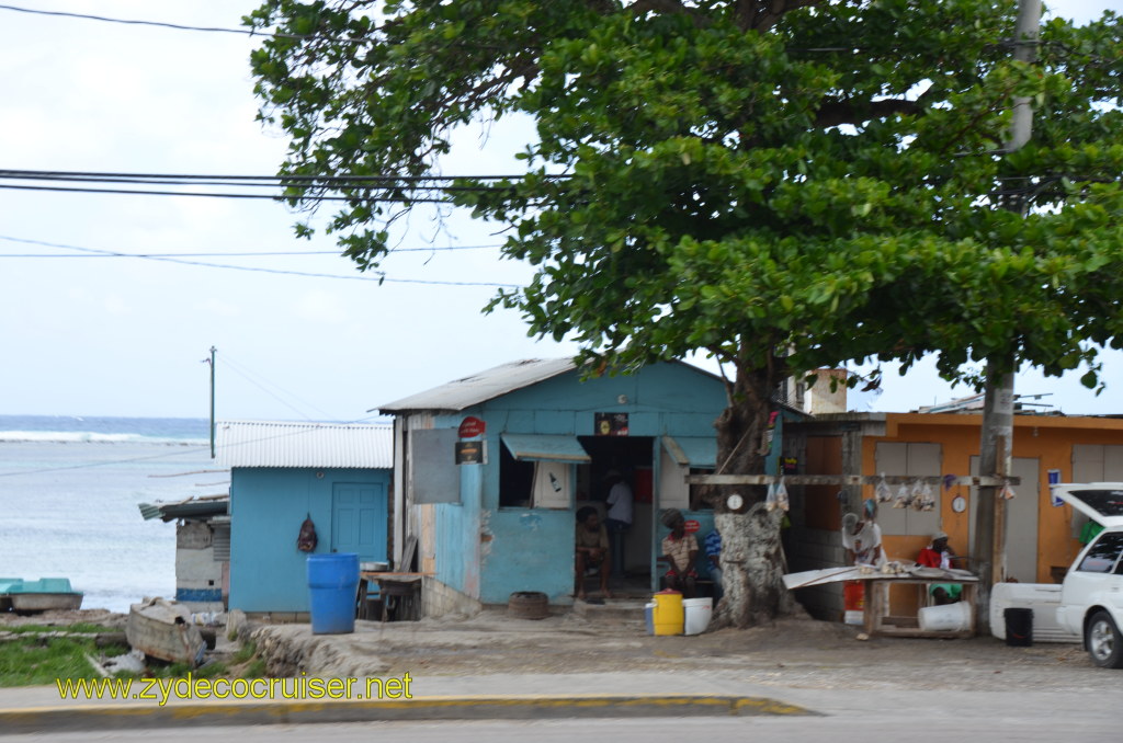 213: Carnival Magic, BC5, John Heald's Bloggers Cruise 5, Montego Bay, Jamaica, Hop On Hop Off Shuttle, Local Fish Market again, 