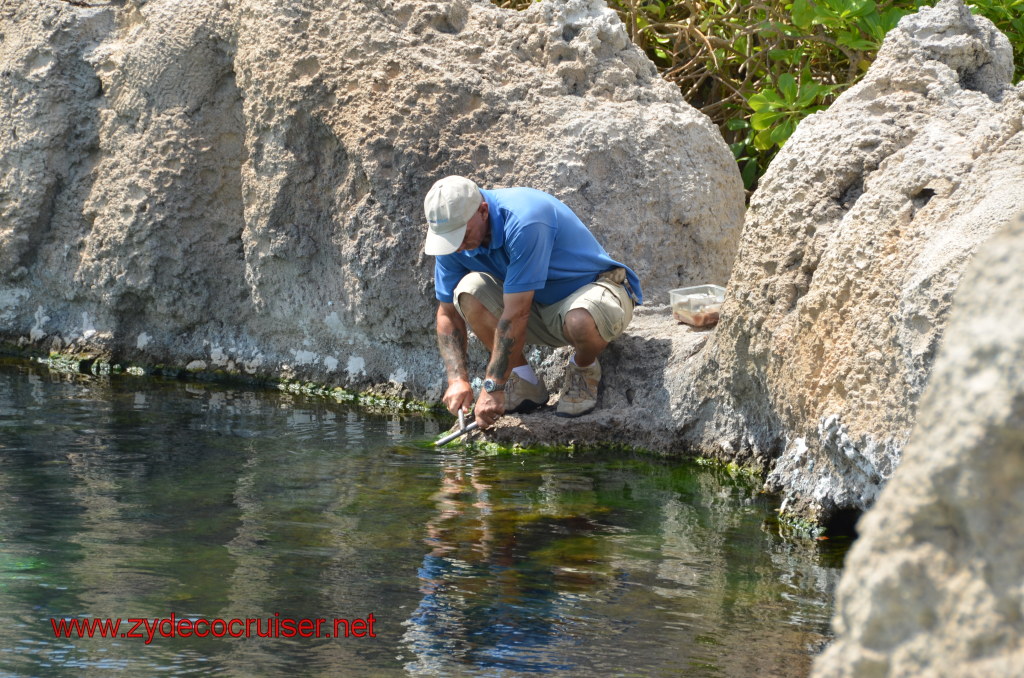 088: Carnival Magic, BC5, John Heald's Bloggers Cruise 5, Grand Cayman, Cayman Turtle Farm, Predator Reef, 