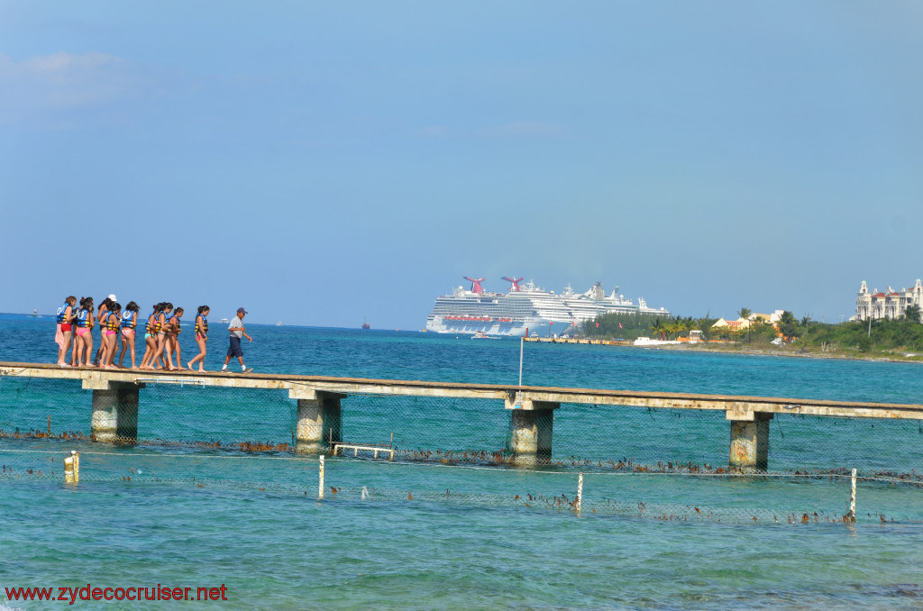 259: Carnival Conquest, Cozumel, Chankanaab, Dolphins, 