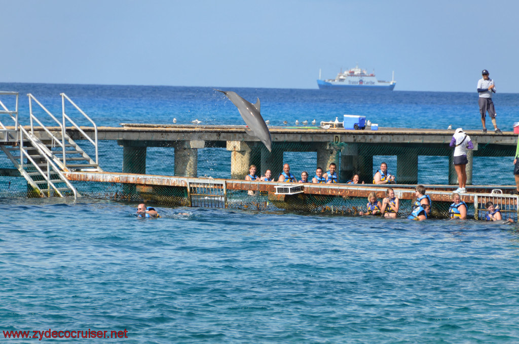 266: Carnival Conquest, Cozumel, Chankanaab, Dolphins, 