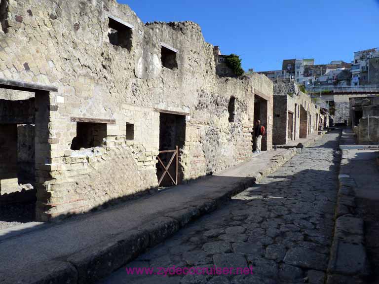 3443: Carnival Dream - Naples - Herculaneum