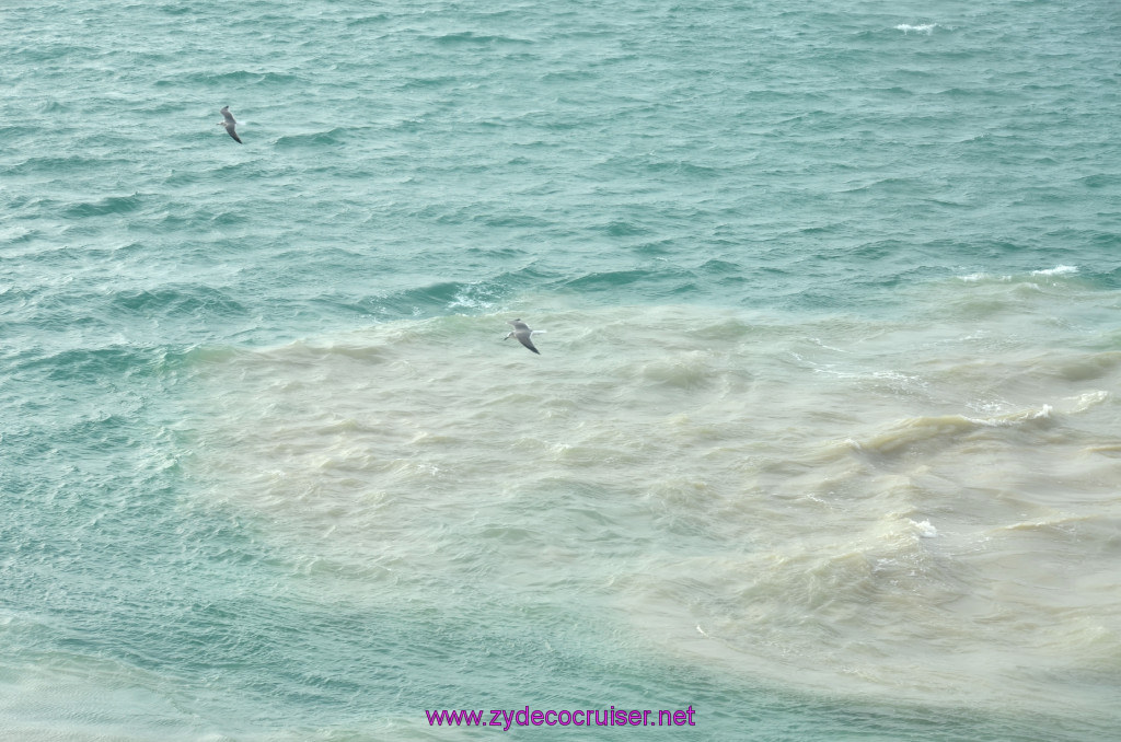 005: Carnival Elation, Progreso, 