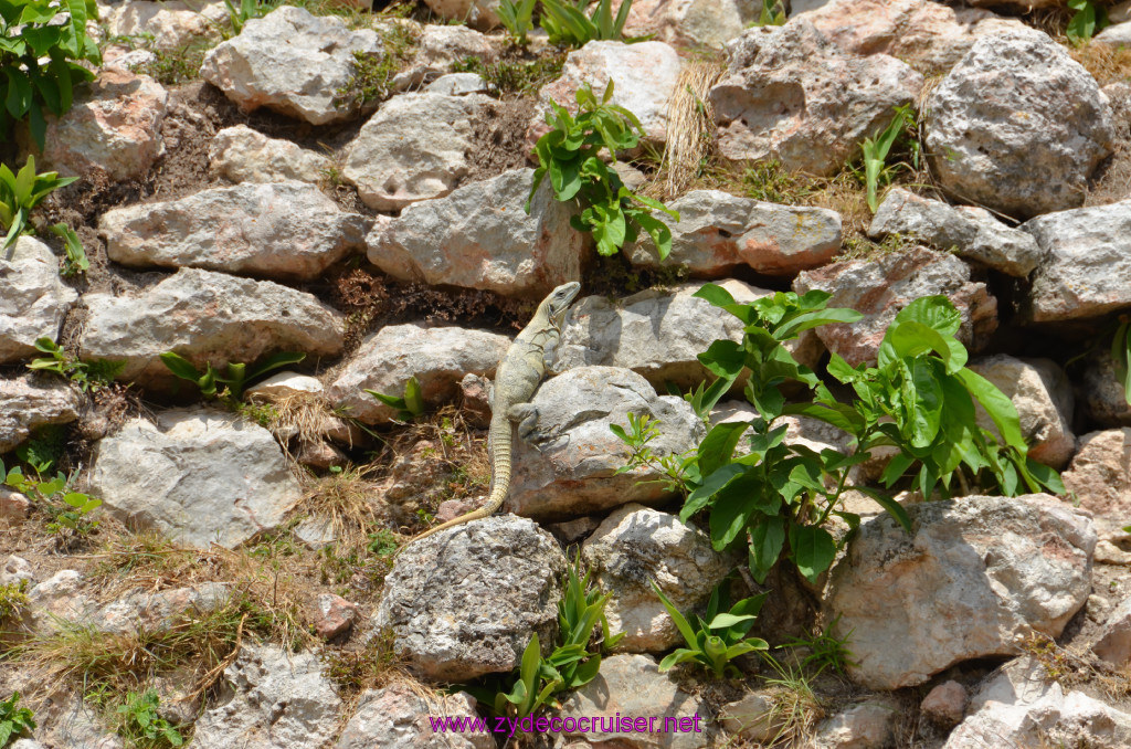 066: Carnival Elation Cruise, Progreso, Uxmal Mayan Ruins, 