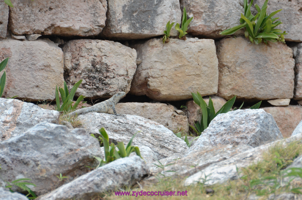 096: Carnival Elation Cruise, Progreso, Uxmal Mayan Ruins, 