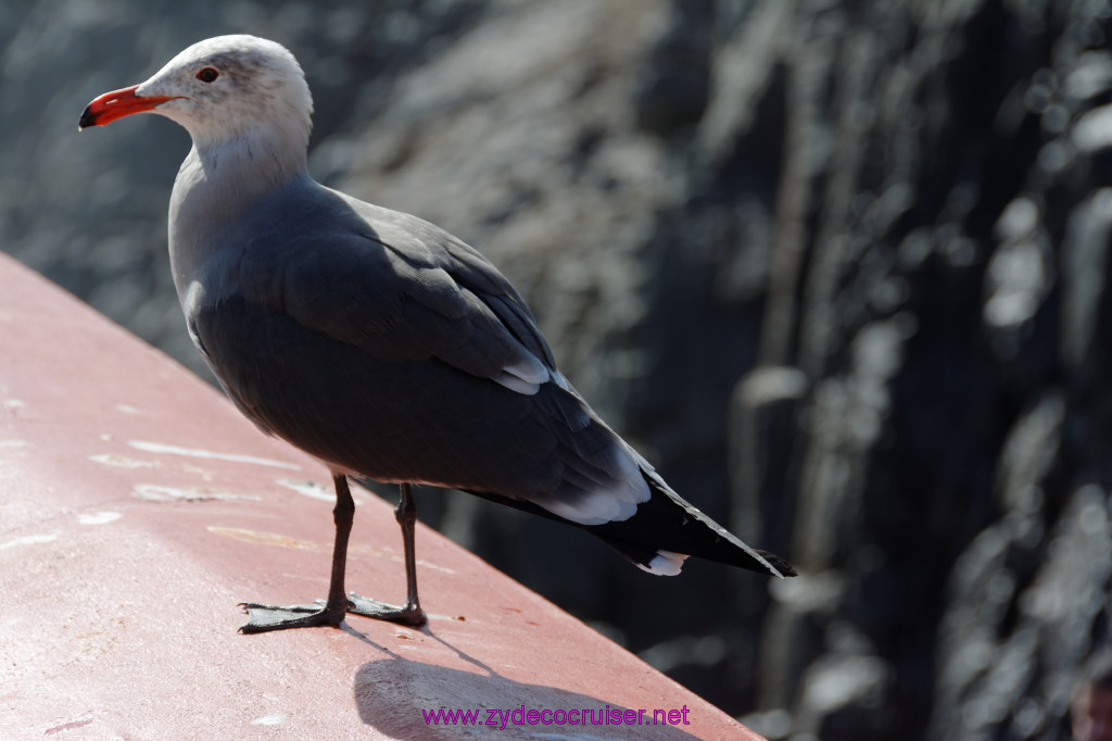 069: Carnival Imagination, Ensenada, 