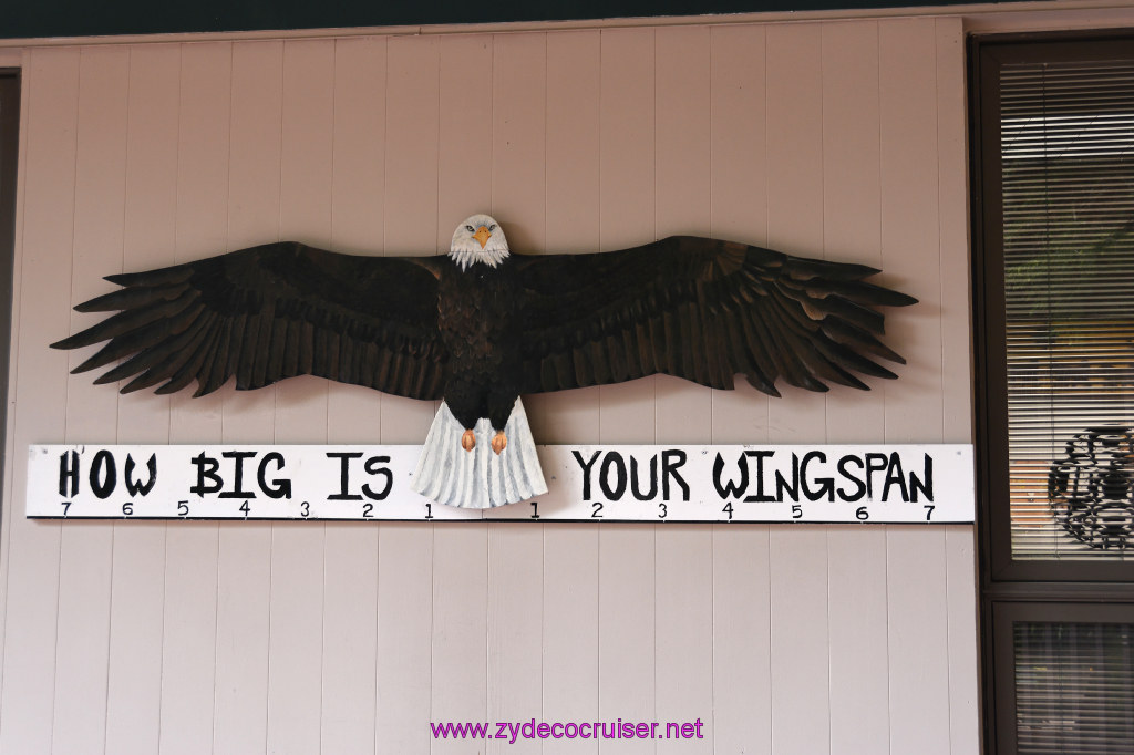 420: Carnival Miracle Alaska Cruise, Sitka, Raptor Center, 