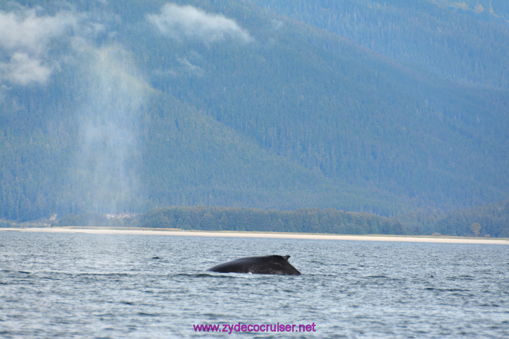 400: Carnival Miracle Alaska Cruise, Juneau, Harv and Marv's Whale Watching, 