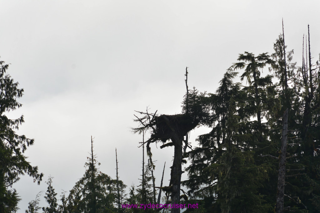151: Carnival Miracle Alaska Cruise, Ketchikan, Bering Sea Crab Fisherman's Tour, 