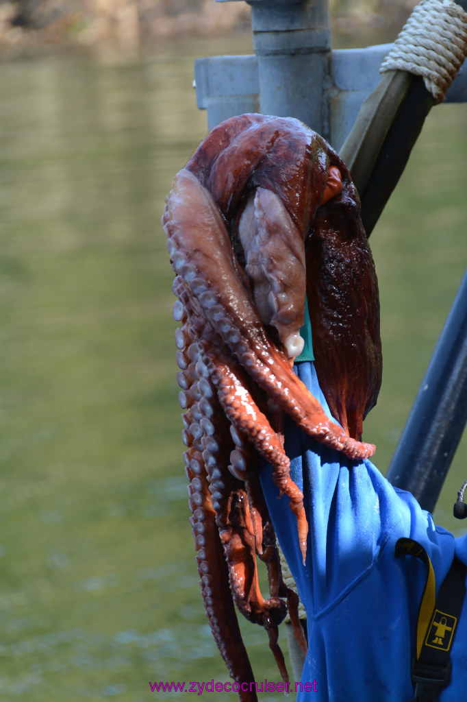 484: Carnival Miracle Alaska Cruise, Ketchikan, Bering Sea Crab Fisherman's Tour, 
