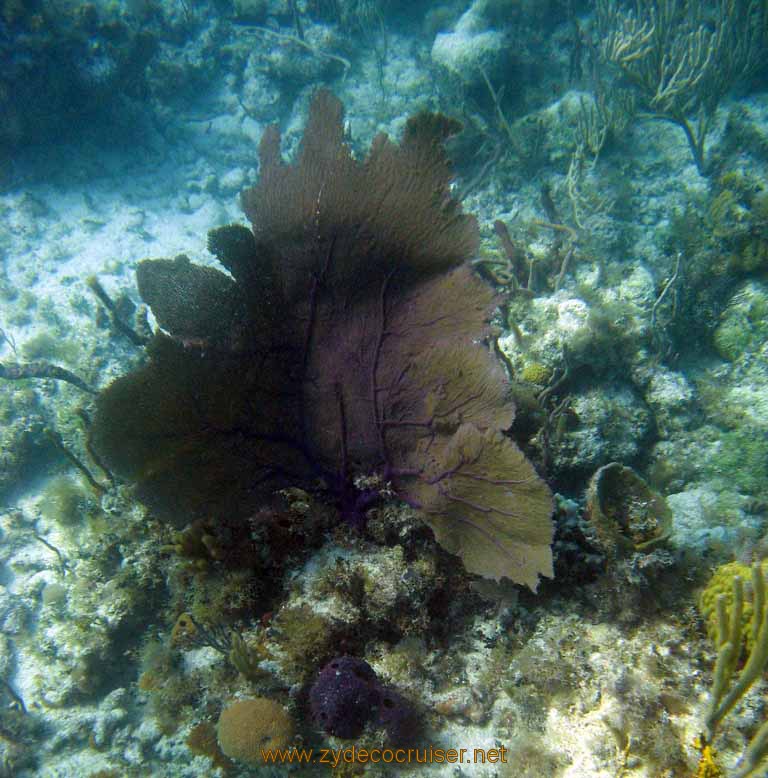 500: Carnival Sensation - Nassau - Catamaran Sail and Snorkel