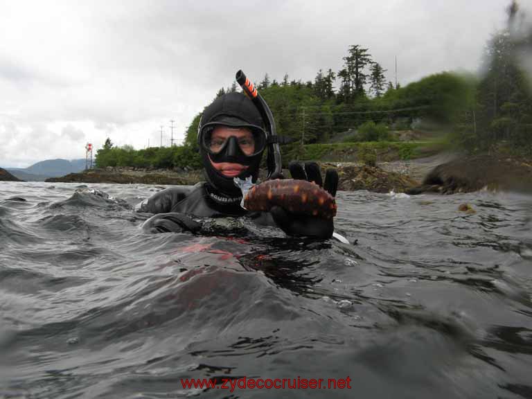Ketchikan - Mountain Point Snorkel Trip - Sea Cucumber