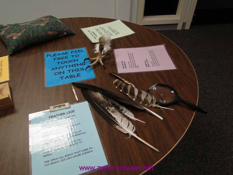 066: Sitka - Alaska Raptor Center 