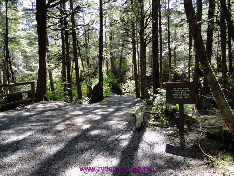 071: Sitka - Alaska Raptor Center 