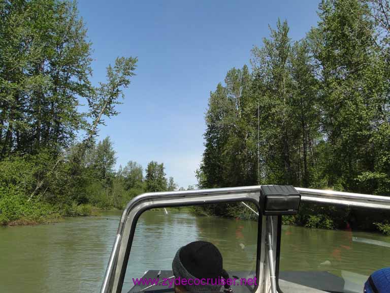 059: Carnival Spirit, Skagway, Alaska - Eagle Preserve Wildlife River Adventure 
