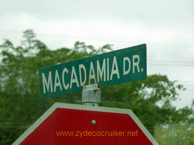 073: Carnival Spirit, Hilo, Hawaii, Mauna Loa Factory and Store, Macadamia Drive