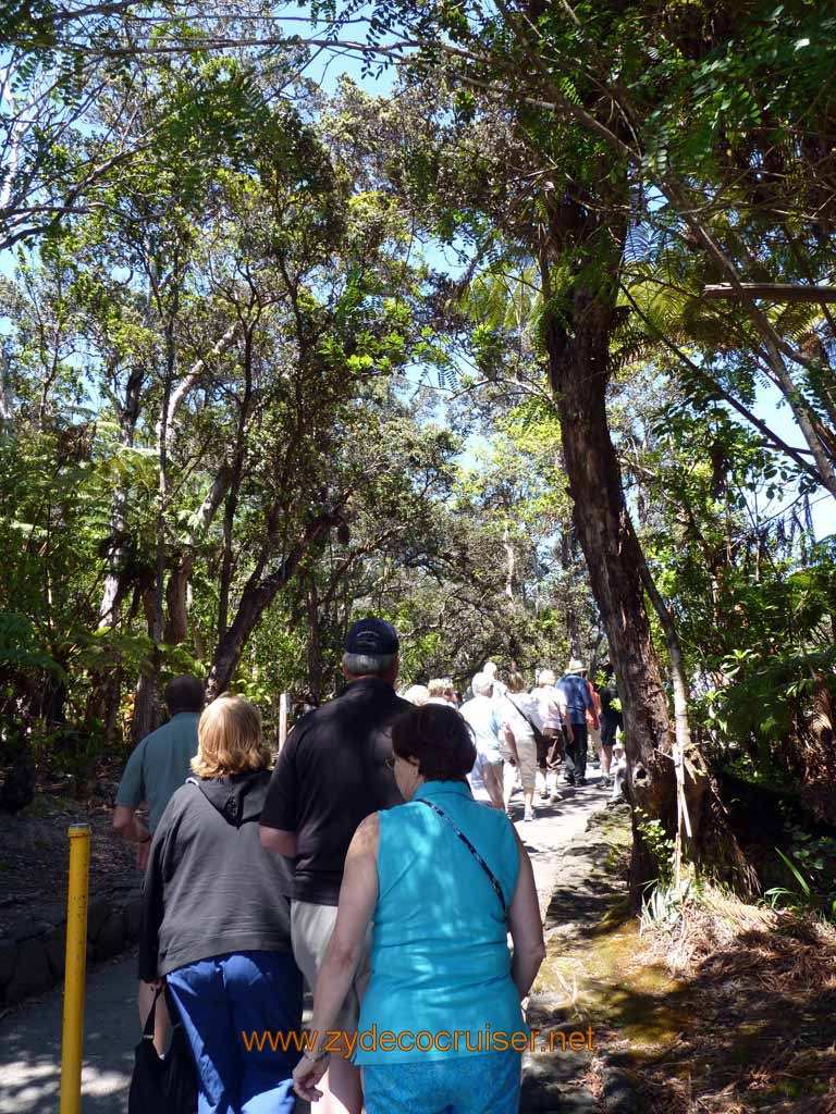 198: Carnival Spirit, Hilo, Hawaii, Hawaii (Hawai'i) Volcanoes National Park, Thurston Lava Tube