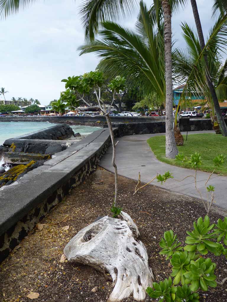 131: Carnival Spirit, Kailua-Kona, 