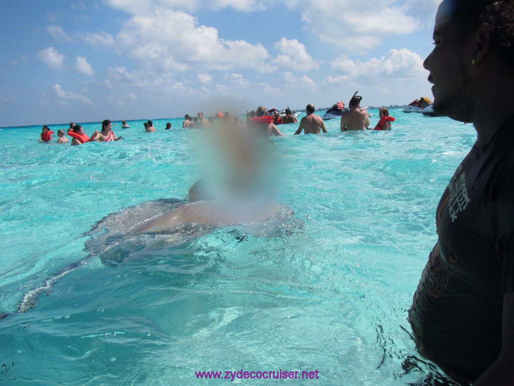 130: Carnival Sunshine Cruise, Nov 21, 2013, Grand Cayman, Sotos Cruises, Sting Ray Sandbar, 
