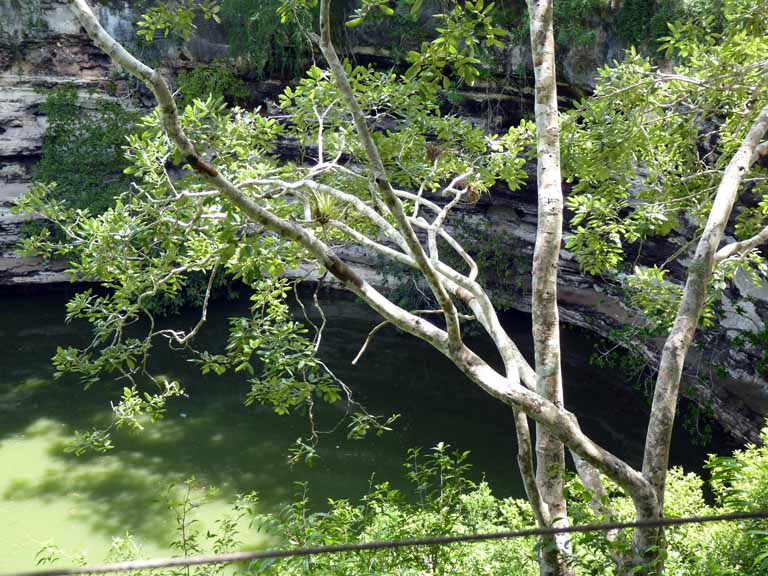 134: Carnival Triumph, Progreso, Chichen Itza, Cenote Sagrado (Sacred Cenote)