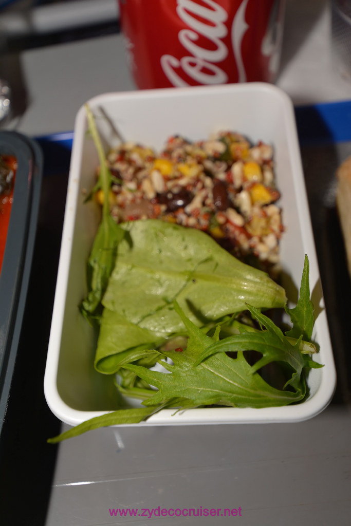 006: Carnival Vista, Pre-cruise, United Cattle Class Plus, IAH-Munich, Rabbit food