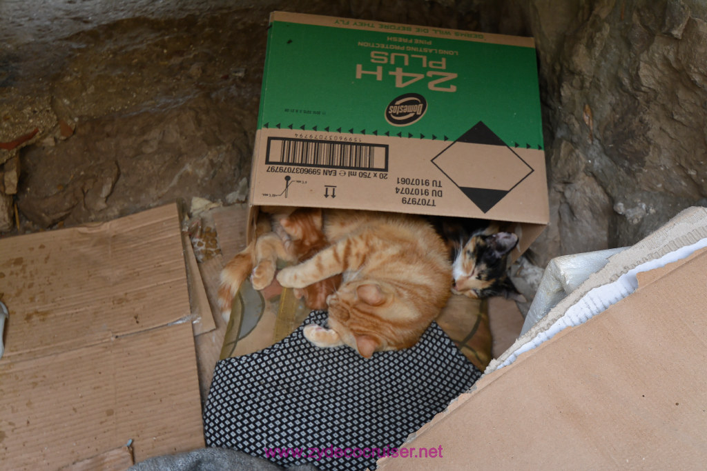 187: Carnival Vista Inaugural Voyage, Dubrovnik, Cafe Buza