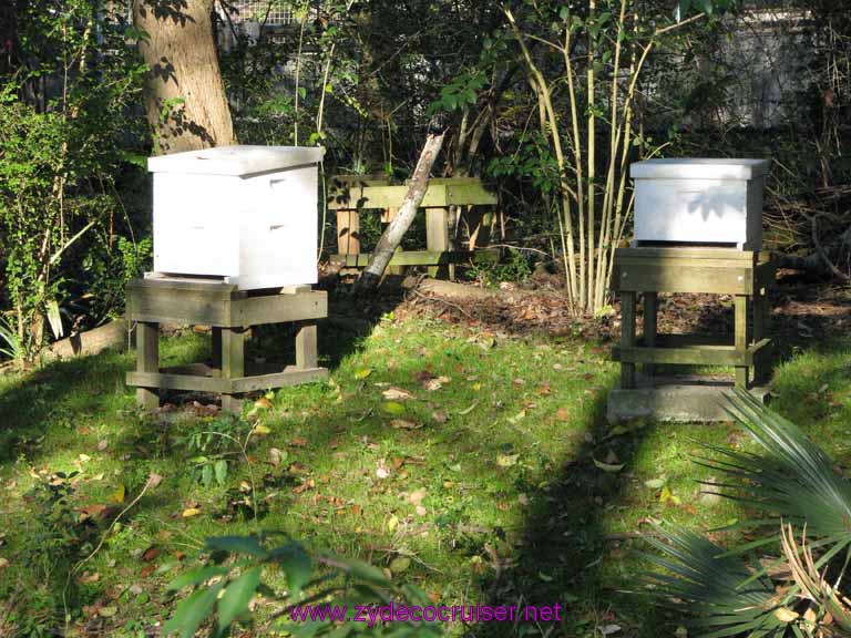 111: Audubon Zoo, New Orleans, Louisiana, 