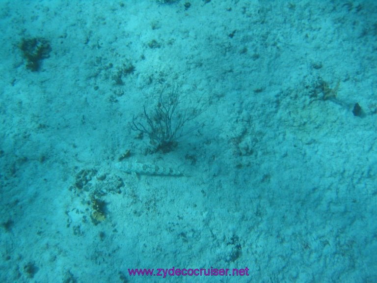 051: Carnival Liberty, Tortola, Patouche, Extreme Machine, The Baths, Virgin Gorda, Snorkeling