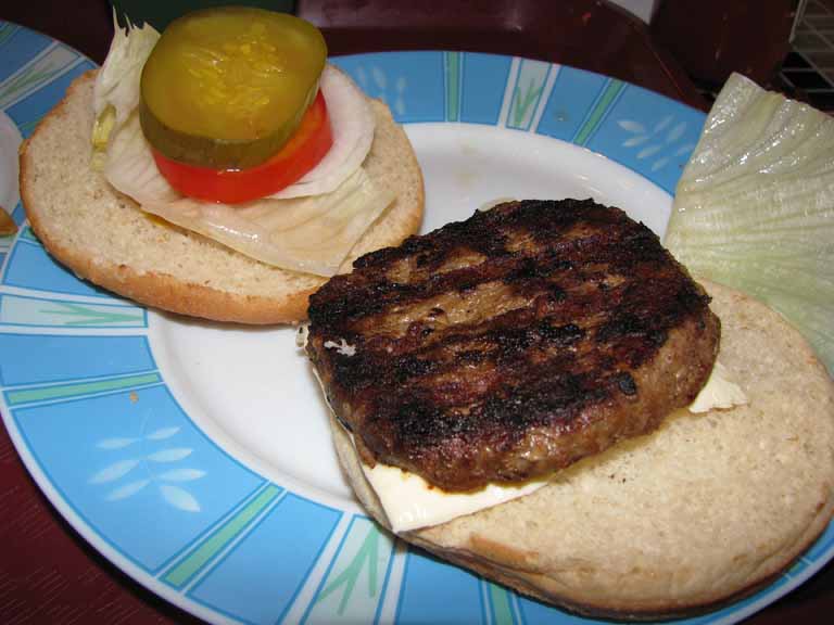 006: Carnival Splendor, Amsterdam, July, 2008, 