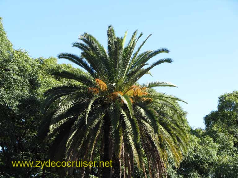 460: Carnival Splendor, South America Cruise, Buenos Aires, River Cruise & El Tigre Tour, 