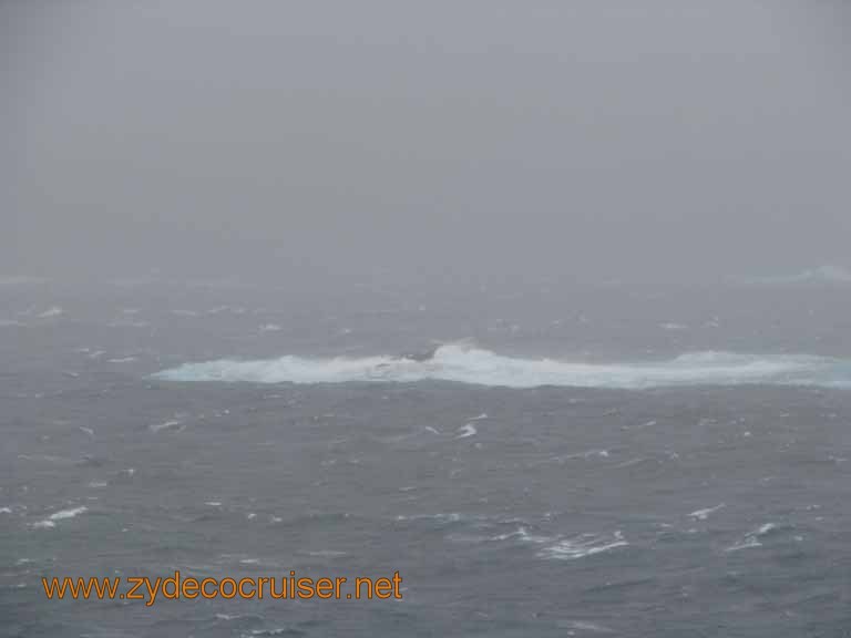 123: Carnival Splendor South America Cruise, 2009, Cape Horn Scenic Cruising, 