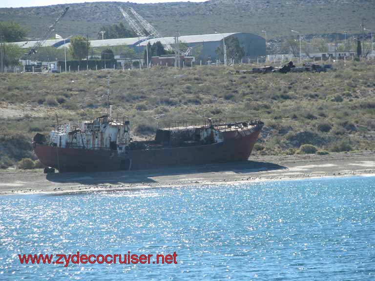 274: Carnival Splendor, Puerto Madryn, Penguins Paradise, Punta Tombo Tour - 