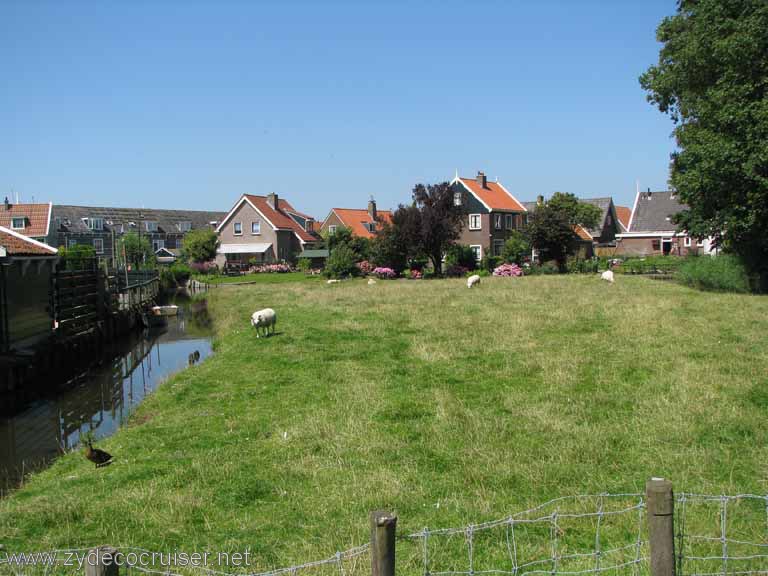 177: Carnival Splendor, Amsterdam, Marken and Voledam Excursion