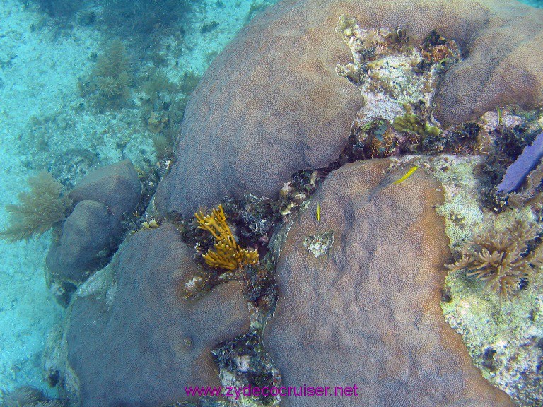 019: Carnival Valor, Belize, Goff's Caye