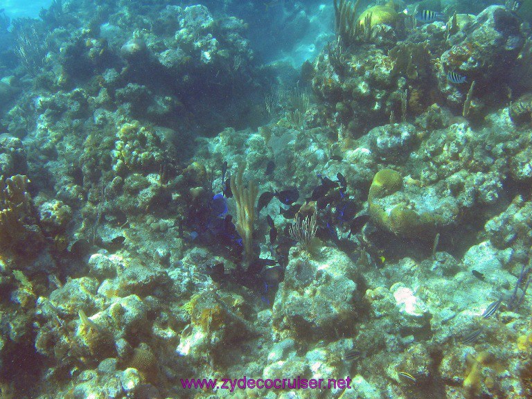 051: Carnival Valor, Roatan, Tabyana Beach, Snorkel, 